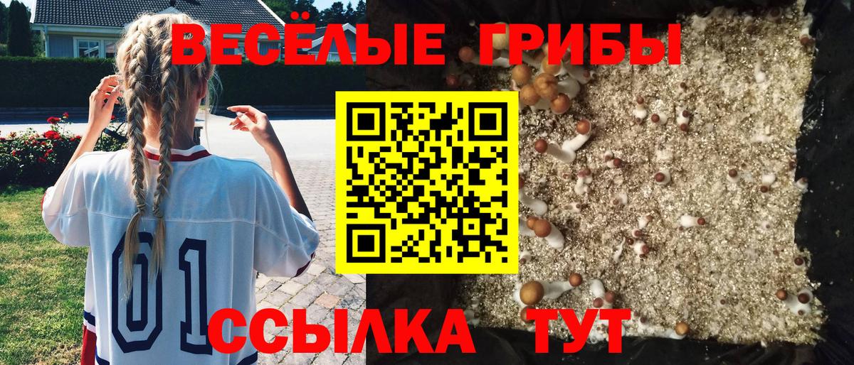 Ноябрьск  Галлюциногенные грибы прущие грибы  Галлюциногенные грибы Psilocybe  Вход с VPN 